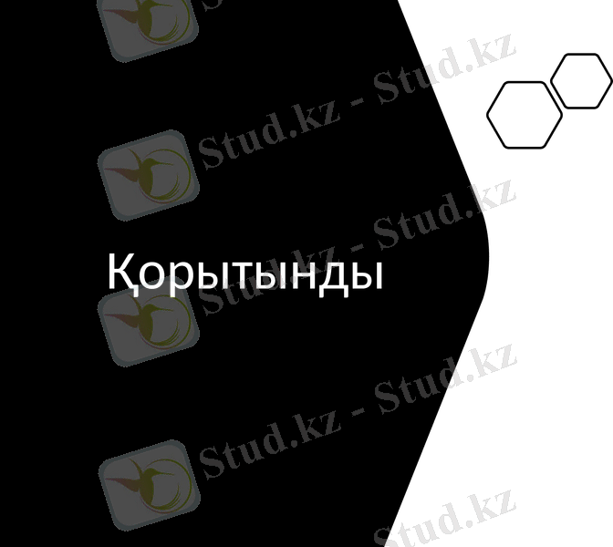 Slide 13