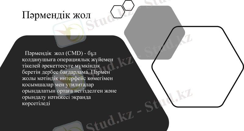 Slide 3