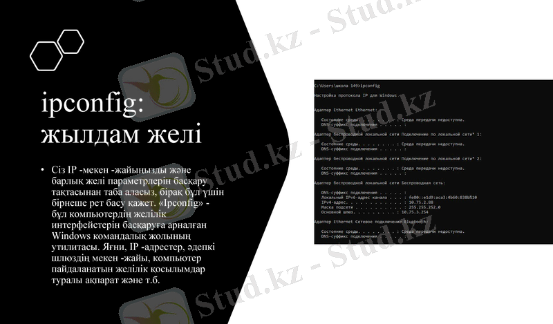 Slide 4