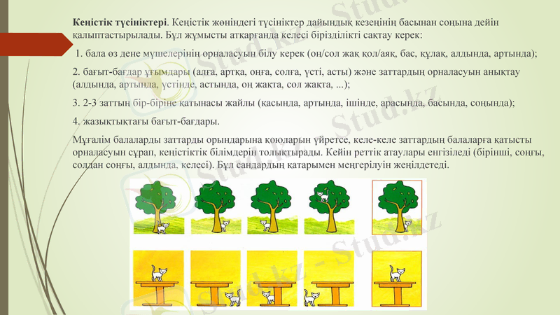 Slide 12