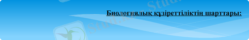 Slide 10