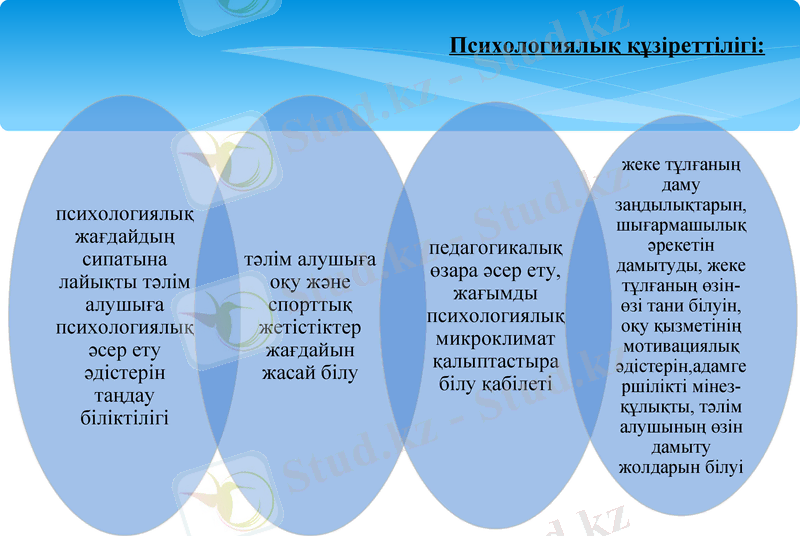 Slide 11