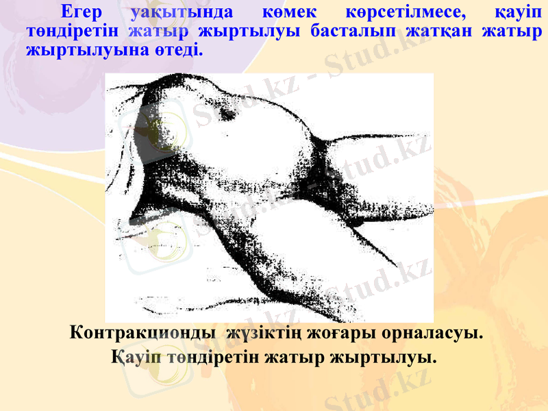 Slide 19