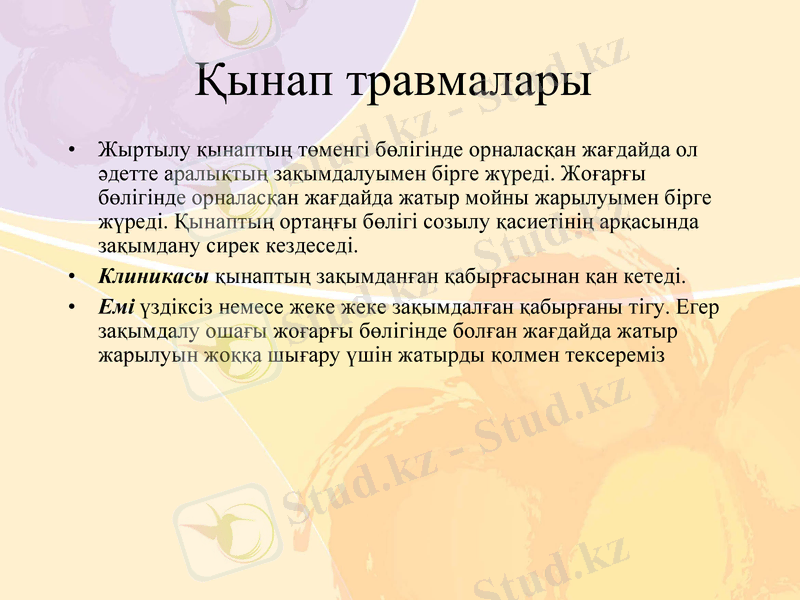 Slide 6