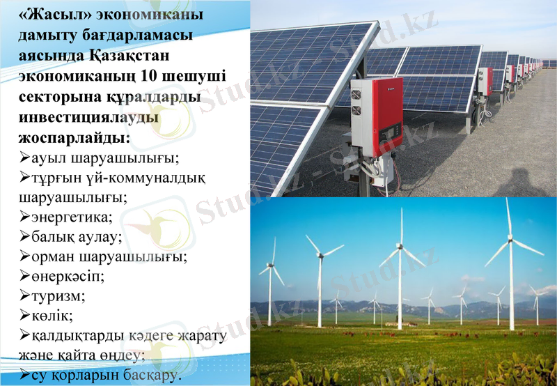 Slide 10