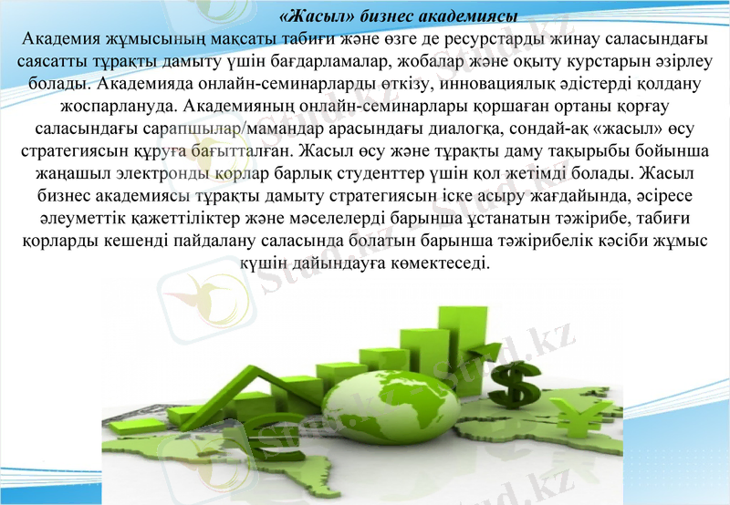 Slide 13