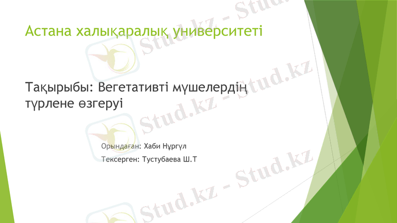 Slide 1