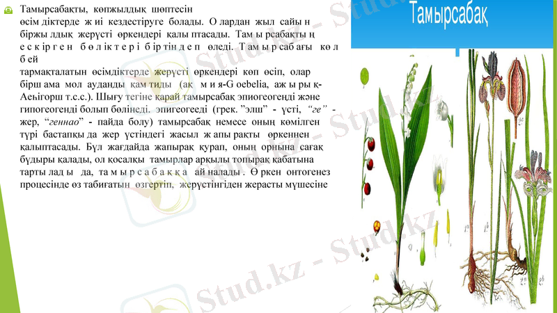 Slide 6
