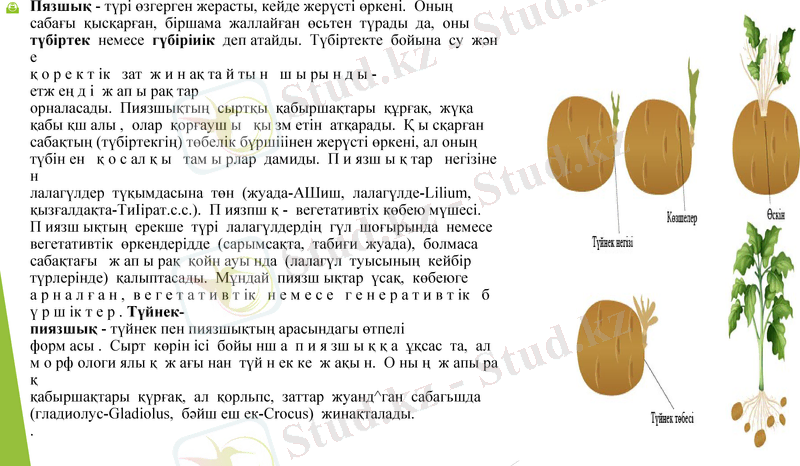 Slide 7