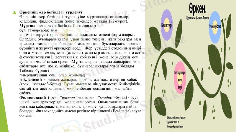 Slide 8