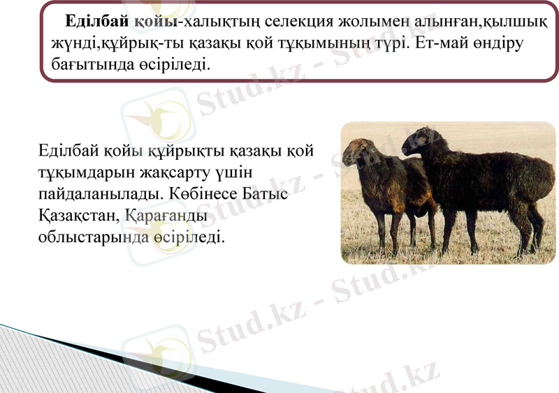 Slide 10