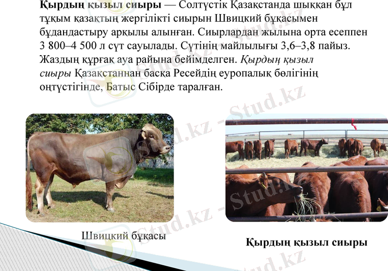 Slide 12