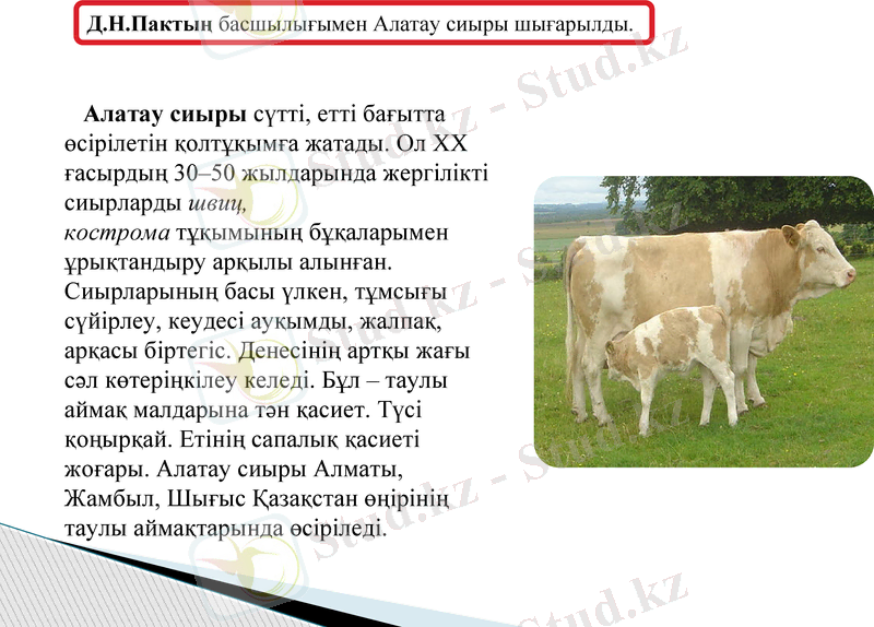 Slide 13