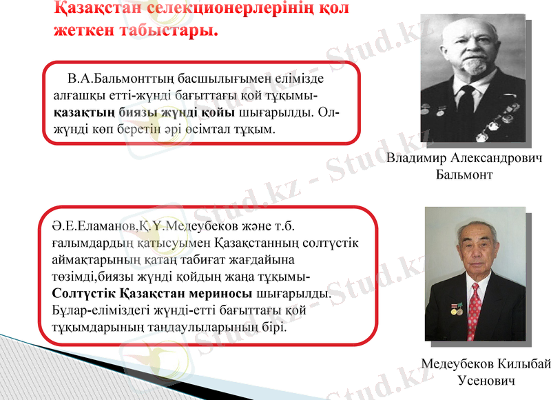 Slide 15