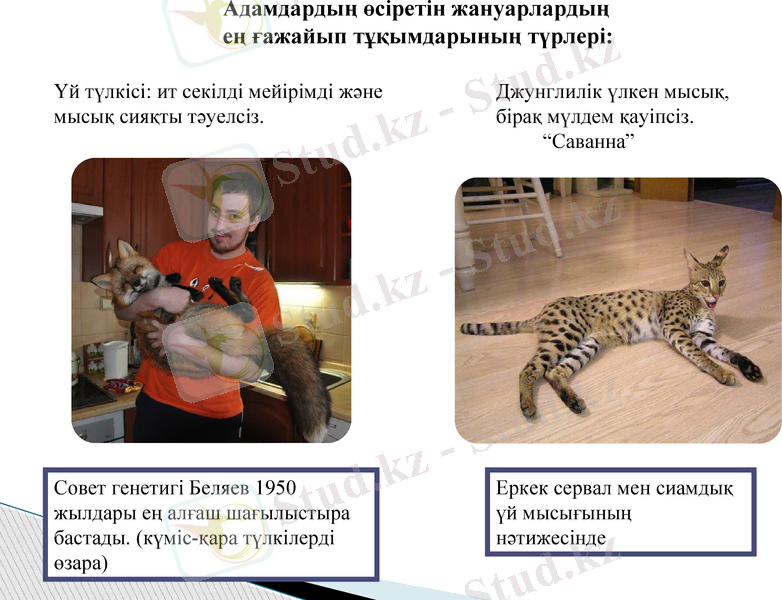 Slide 16