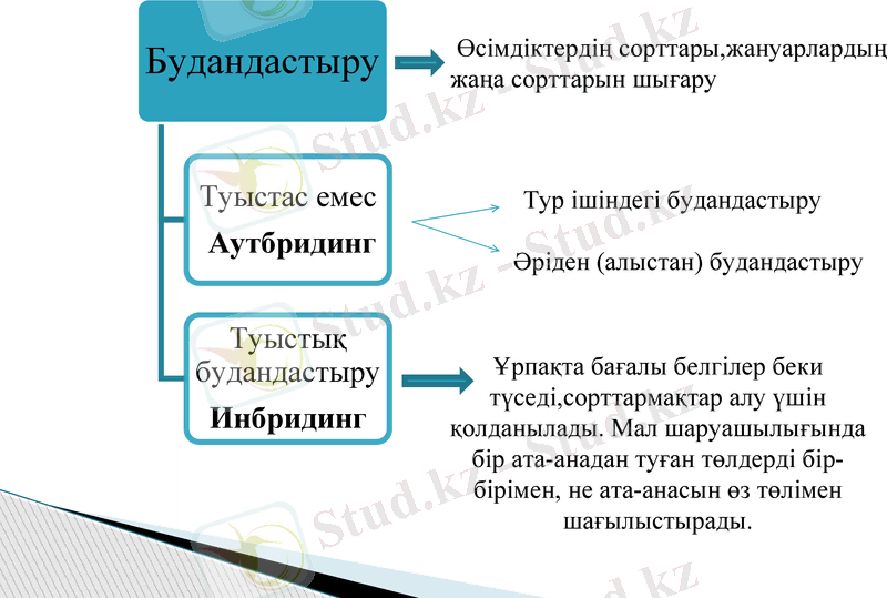 Slide 7