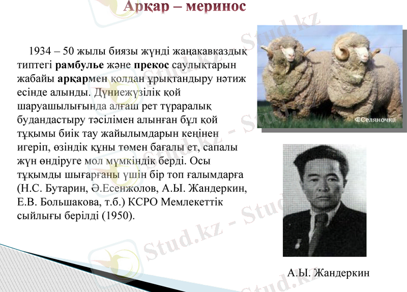 Slide 9