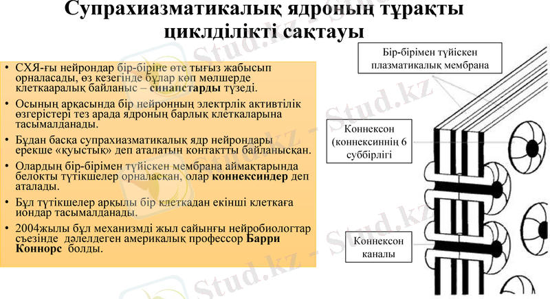 Slide 10