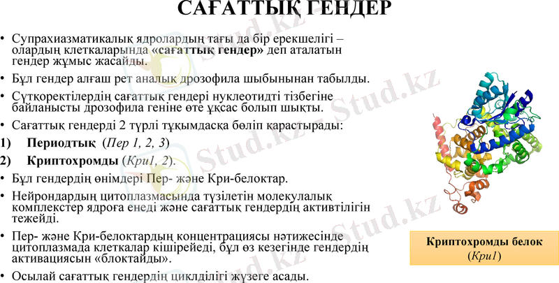 Slide 13