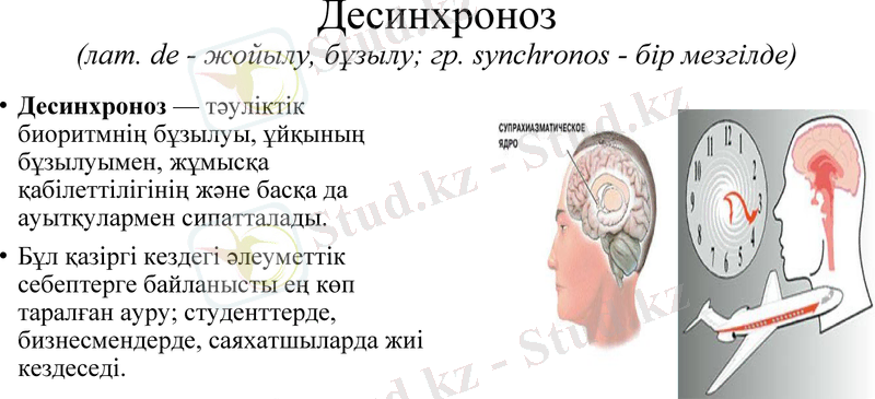Slide 14