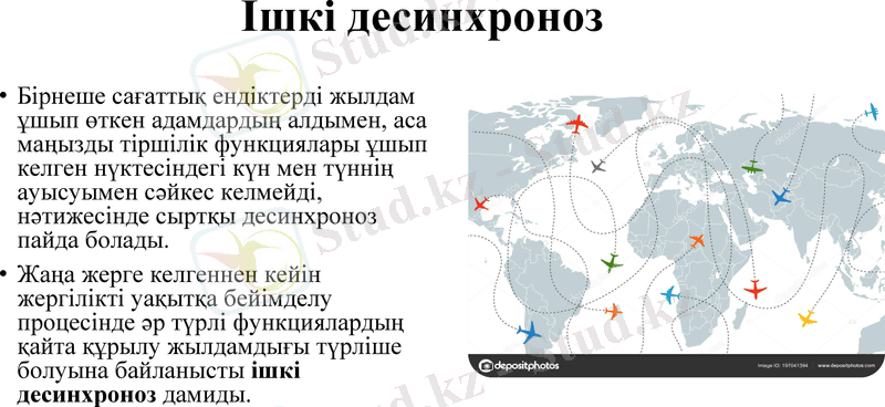 Slide 20