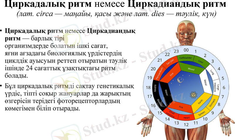 Slide 5