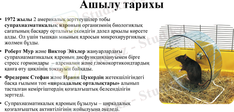 Slide 7