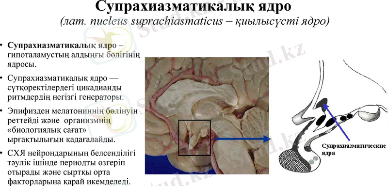 Slide 8
