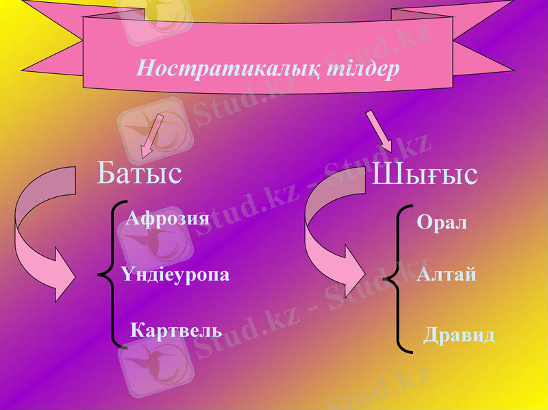 Slide 11