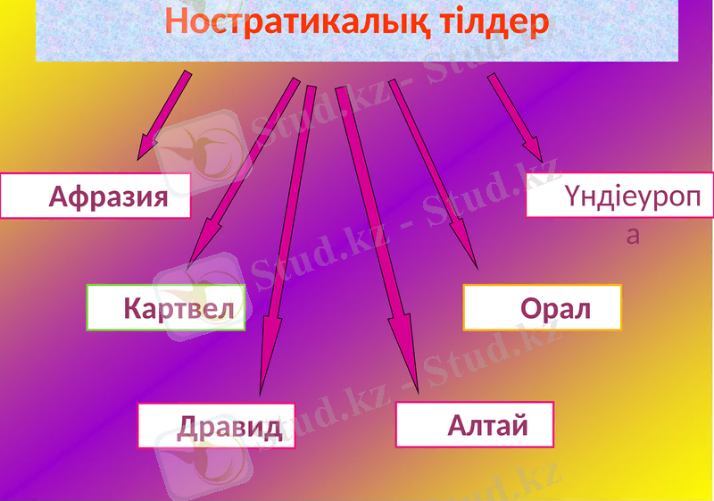 Slide 12