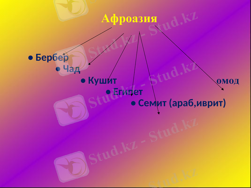 Slide 13