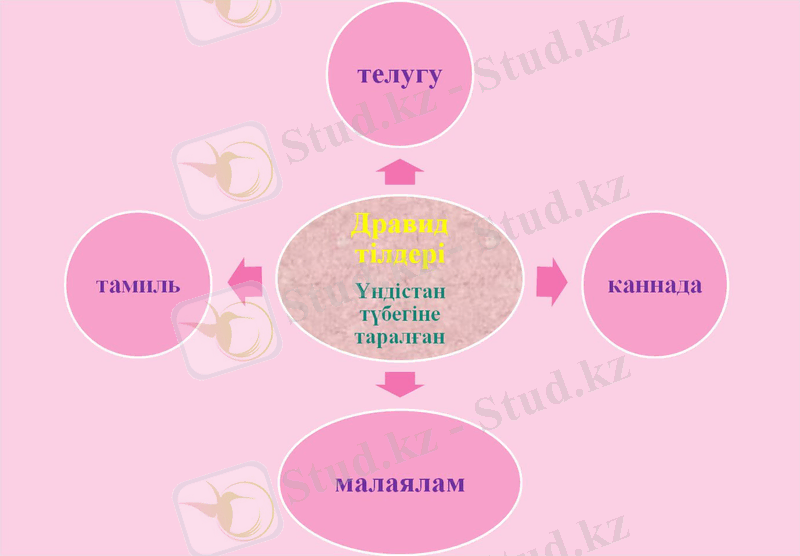 Slide 14