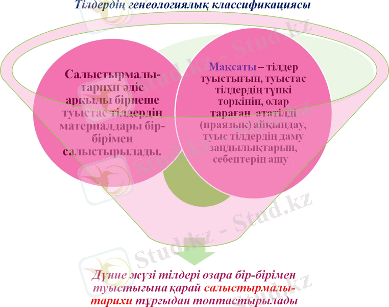 Slide 7