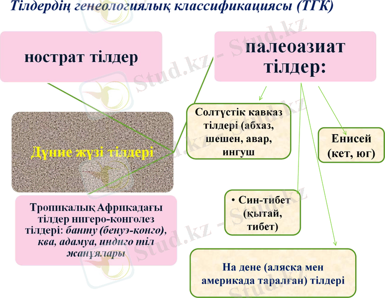 Slide 9