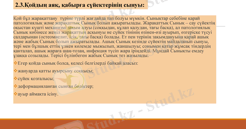 Slide 7