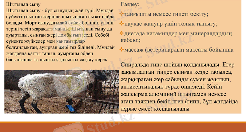 Slide 8