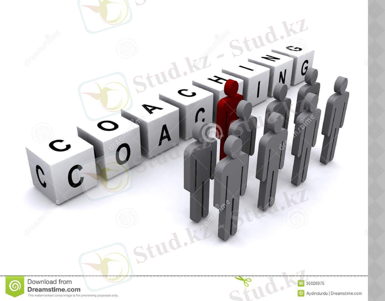 Slide 13