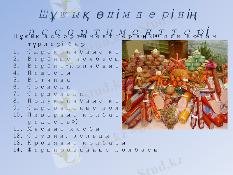 Slide 13