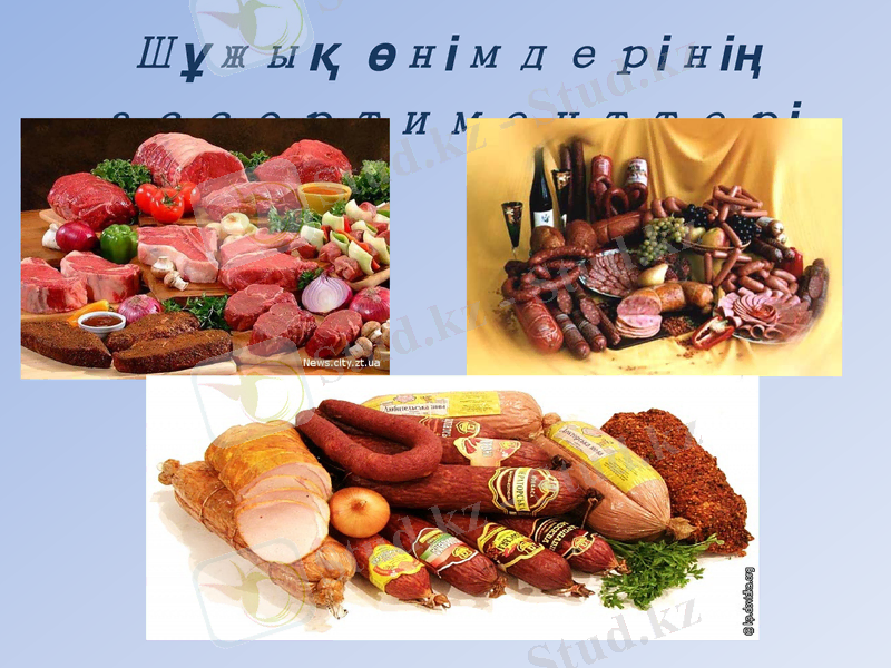 Slide 14