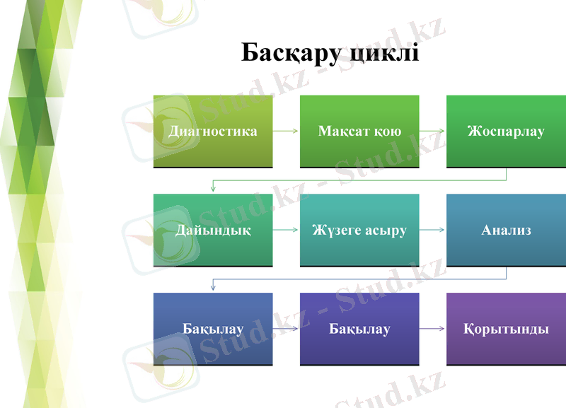 Slide 7