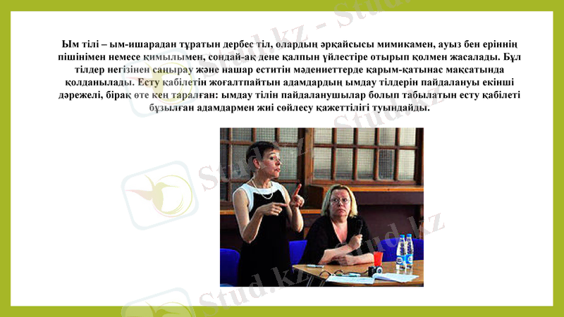 Slide 6