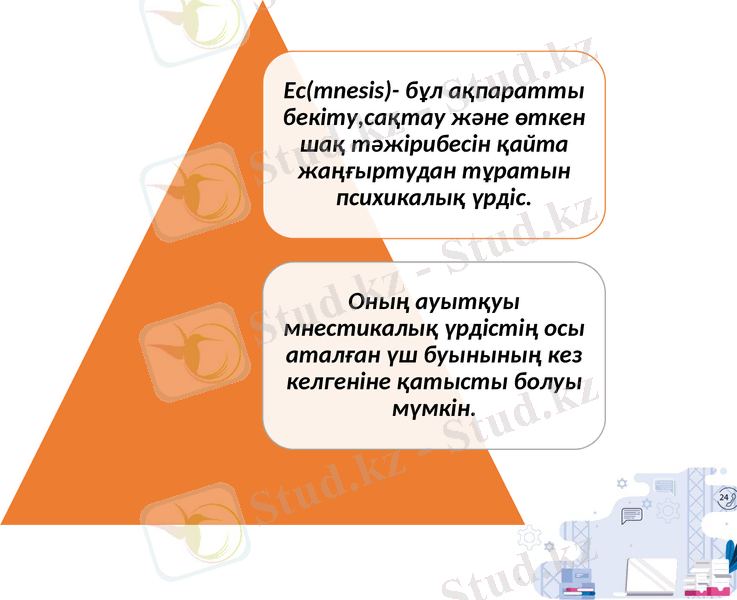 Slide 7