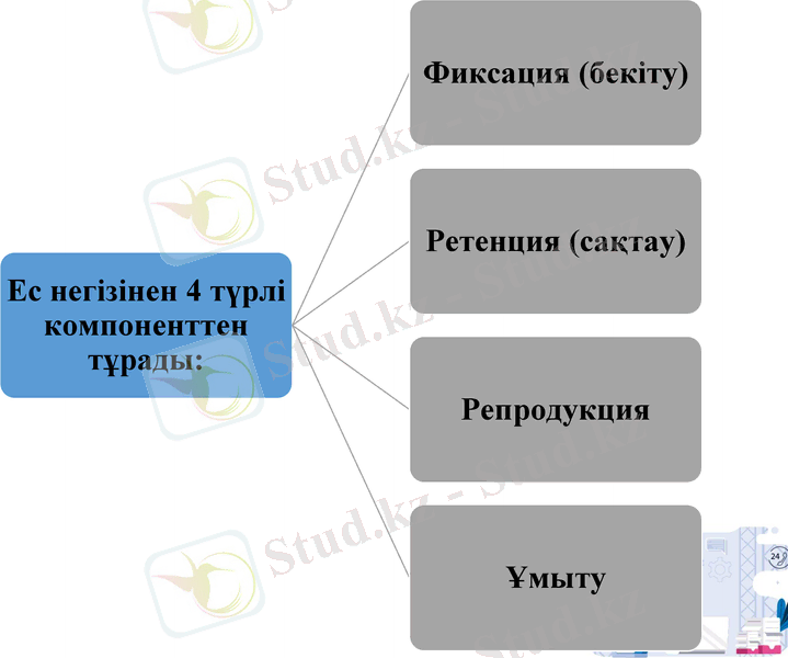 Slide 8