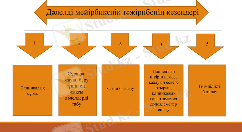 Slide 10