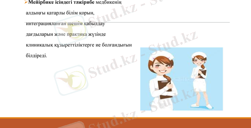 Slide 12