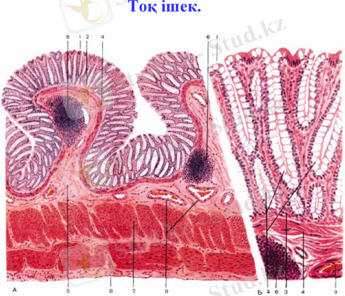 Slide 12