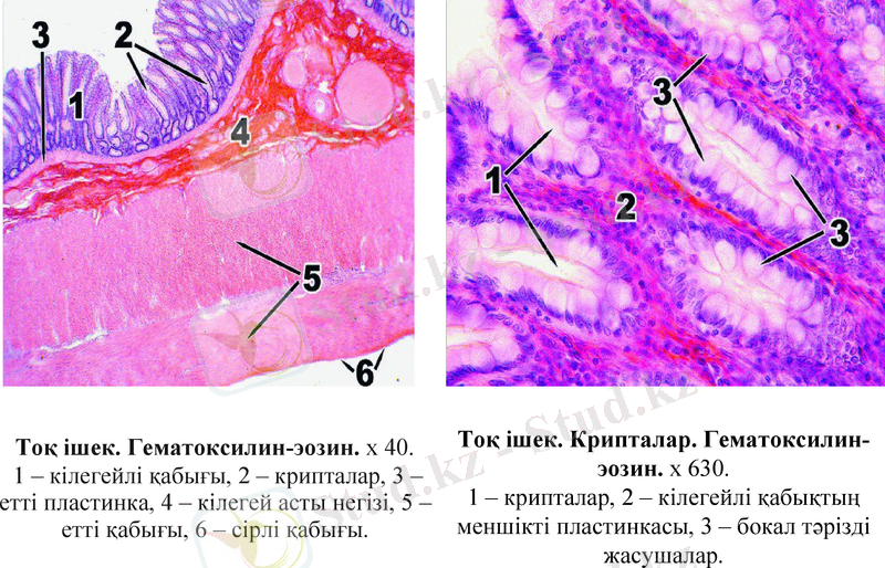 Slide 13