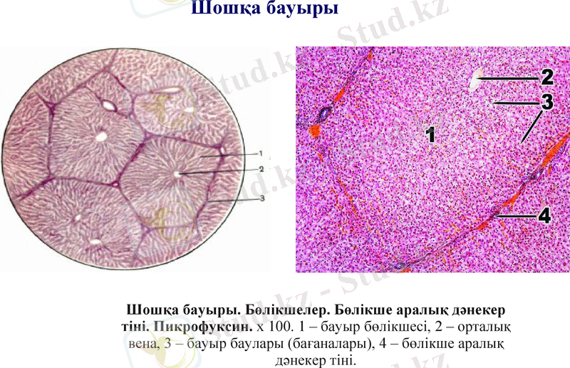Slide 15