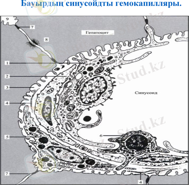 Slide 19