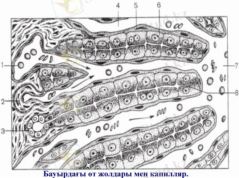 Slide 20